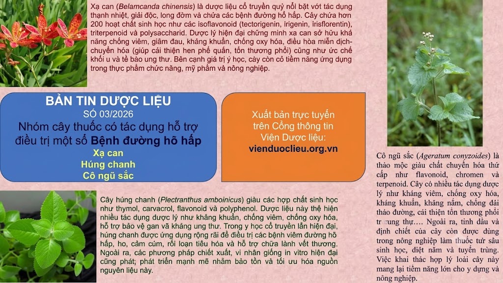 Không có ảnh